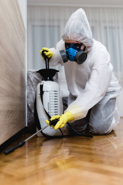 Best Fumigation Services  in Canonsburg, PA